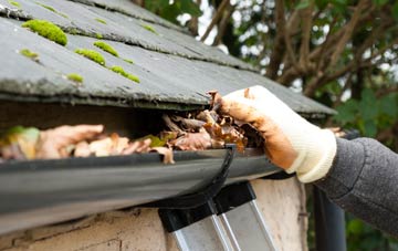 gutter cleaning West Town